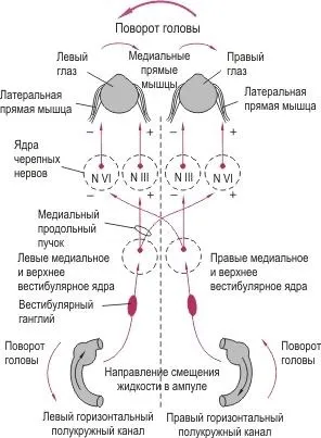 сенсорні системи