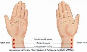 Серцебиття норма ударів в хвилину у жінок за віком (хвилину) Серцебиття норма ударів в хвилину у жінок за віком