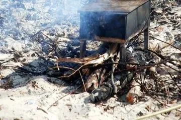 Сьомга гарячого копчення - рецепт для гарного пікніка (сьомга) Сьомга гарячого копчення - рецепт для гарного пікніка