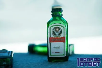 З чим п'ють «егермейстер» список поєднуваних продуктів, ніж закушувати цей лікер як пити (егермейстер) З чим п'ють «егермейстер» список поєднуваних продуктів, ніж закушувати цей лікер як пити