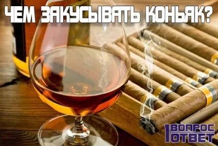 З чим п'ють «егермейстер» список поєднуваних продуктів, ніж закушувати цей лікер як пити (пити) З чим п'ють «егермейстер» список поєднуваних продуктів, ніж закушувати цей лікер як пити