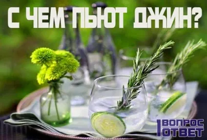 З чим п'ють «егермейстер» список поєднуваних продуктів, ніж закушувати цей лікер як пити (пити) З чим п'ють «егермейстер» список поєднуваних продуктів, ніж закушувати цей лікер як пити