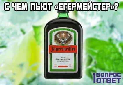 З чим п'ють «егермейстер» список поєднуваних продуктів, ніж закушувати цей лікер як пити (егермейстер) З чим п'ють «егермейстер» список поєднуваних продуктів, ніж закушувати цей лікер як пити