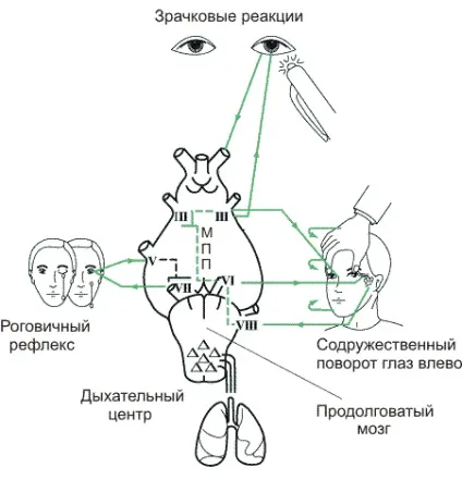 сенсорні системи