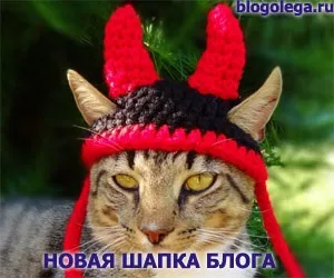 шапка блогу
