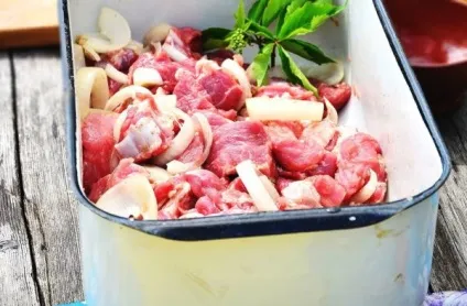 Шашлик зі свинячої шиї маринади, рецепти з фото, калорійність (маринад для шашлику зі свинячої шиї) Шашлик зі свинячої шиї маринади, рецепти з фото, калорійність