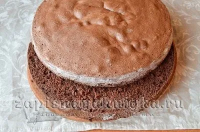 шоколадний бісквіт