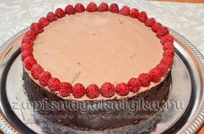 шоколадний бісквіт