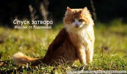 Шум спуску затвора