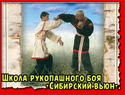 Сибірський в'юн, майстер бою