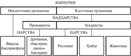 Система класифікації живих організмів - ооо - гісінг гео (систематики) Система класифікації живих організмів - ооо - гісінг гео