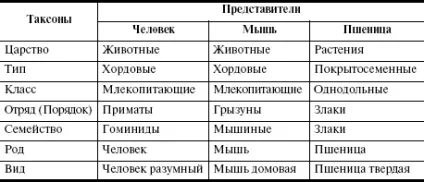 Система класифікації живих організмів - ооо - гісінг гео (кожен) Система класифікації живих організмів - ооо - гісінг гео