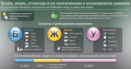 Скільки калорій потрібно чоловікові і жінці в день відповідь знайдений