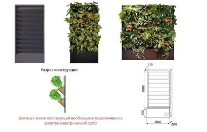 Системи вертикального озеленення, летостудія (системи) Системи вертикального озеленення, летостудія