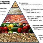 Зміст декоративних щурів в домашніх умовах (щурів) Зміст декоративних щурів в домашніх умовах