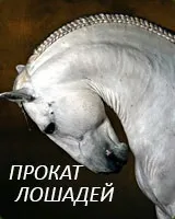 Слейпнир - восьминогий кінь одина