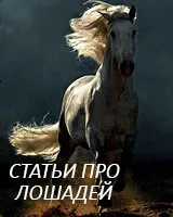 Слейпнир - восьминогий кінь одина
