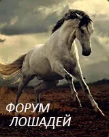 Слейпнир - восьминогий кінь одина