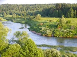 Твір-роздум на тему охорона природи () Твір-роздум на тему охорона природи