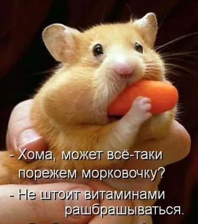 Смішні жарти про їжу, живемо в позитиві (кулінарія) Смішні жарти про їжу, живемо в позитиві