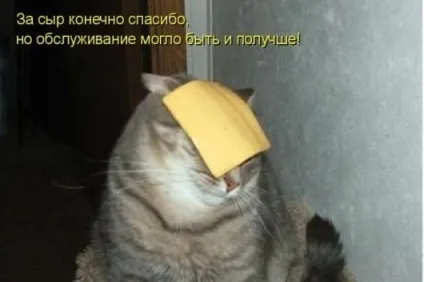 Смішні жарти про їжу, живемо в позитиві (прикольні фото) Смішні жарти про їжу, живемо в позитиві