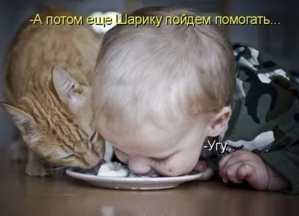 Смішні жарти про їжу, живемо в позитиві (бістро) Смішні жарти про їжу, живемо в позитиві