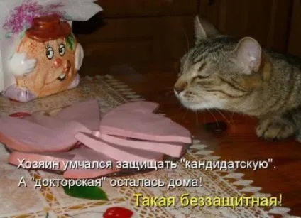 Смішні жарти про їжу, живемо в позитиві (похихотіли) Смішні жарти про їжу, живемо в позитиві