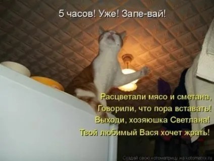 Смішні жарти про їжу, живемо в позитиві (похихотіли) Смішні жарти про їжу, живемо в позитиві