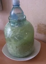 Солимо капусту без солі - російська кухня