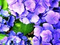 Змагальний судовий процес - це змагання (змагання) Змагальний судовий процес - це змагання