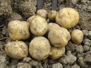 Сонник злодійство речей грошей уві сні до чого сниться
