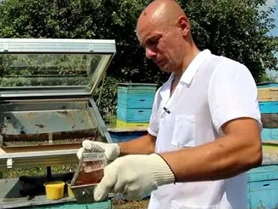 Сонячна воскотопка своїми руками креслення (руками) Сонячна воскотопка своїми руками креслення