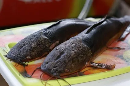 Сом гарячого копчення