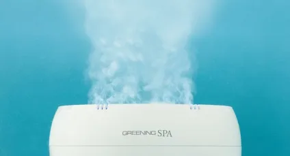 Спа капсула greening spa - це нове слово в технологіях догляду за шкірою, Євода - інший погляд на (greening) Спа капсула greening spa - це нове слово в технологіях догляду за шкірою, Євода - інший погляд на