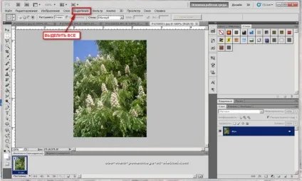 Створення gif картинки з декількох фото