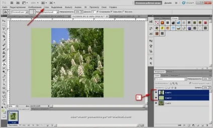 Створення gif картинки з декількох фото