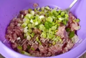 Спрінг-роли з куркою, рецепт з фото крок за кроком (спеція) Спрінг-роли з куркою, рецепт з фото крок за кроком