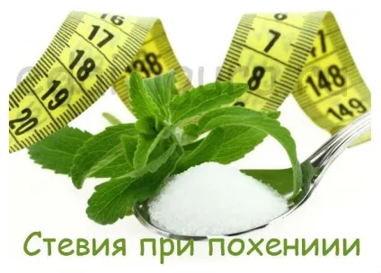 Стевія користь і шкода натурального цукрозамінника (замінити звичний цукор) Стевія користь і шкода натурального цукрозамінника