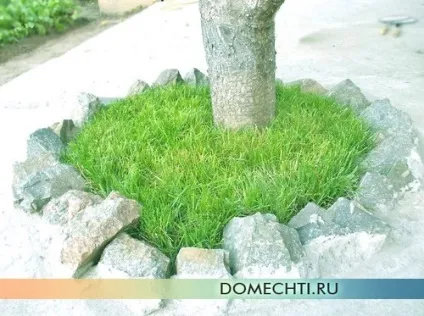 Стрижка газону і догляд за газонної травою, будинок мрії (травою) Стрижка газону і догляд за газонної травою, будинок мрії