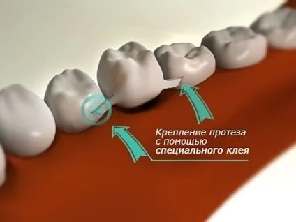 Стоматологія доктора жукова (жукова) Стоматологія доктора жукова