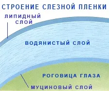 Сухість очей (- сухі очі, синдром сухого ока) (очі) Сухість очей (- сухі очі, синдром сухого ока)