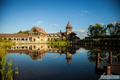 Весілля Іллі та олени бризки шампанського (lids) Весілля Іллі та олени бризки шампанського