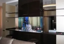 Акваріум в інтер'єрі вітальні фото в залі між кухнею, дизайн (вітальні) Акваріум в інтер'єрі вітальні фото в залі між кухнею, дизайн
