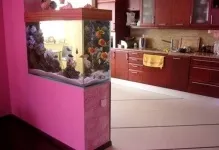 Акваріум в інтер'єрі вітальні фото в залі між кухнею, дизайн (акваріум в інтер'єрі вітальні фото) Акваріум в інтер'єрі вітальні фото в залі між кухнею, дизайн