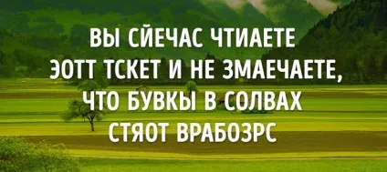 9 Речей, які тіло і мозок роблять незалежно від нас (мозок) 9 Речей, які тіло і мозок роблять незалежно від нас