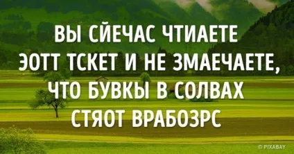 9 Речей, які тіло і мозок роблять незалежно від нас (тіло) 9 Речей, які тіло і мозок роблять незалежно від нас
