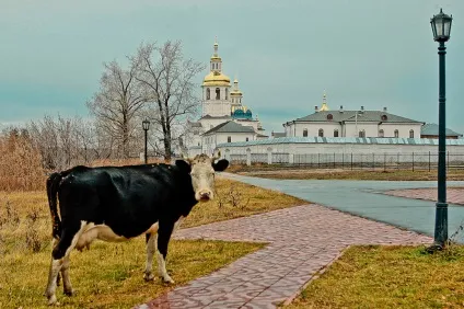 Абалак опис, історія, екскурсії, точна адреса (фото) Абалак опис, історія, екскурсії, точна адреса