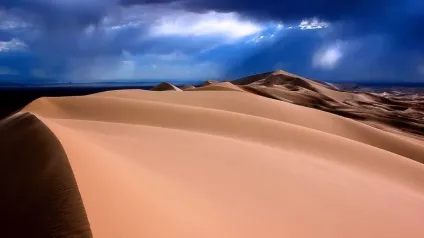 Тест 