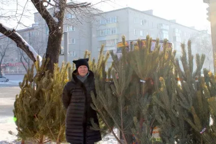 Тепер вона, святкова ... », або як я ялинки продавала - робота - новини Благовещенська, амурської (робота) Тепер вона, святкова ... », або як я ялинки продавала - робота - новини Благовещенська, амурської