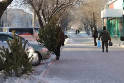 Тепер вона, святкова ... », або як я ялинки продавала - робота - новини Благовещенська, амурської (робота) Тепер вона, святкова ... », або як я ялинки продавала - робота - новини Благовещенська, амурської